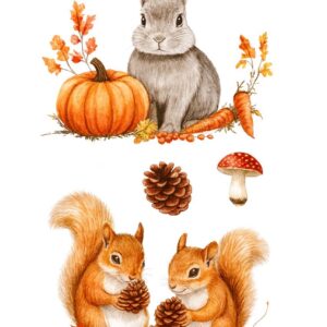 ترانسفر روبون کد 053